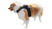 Pet Tracker Collar Rechargeable Pet Location Surveillance System w/ GPS Tracker App Size:L