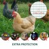 Garden Fence/Chicken Fence /Mesh Fencing Wire ( Amazon Shipping)(Prohibited by WalMart)