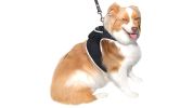 Realiable Realtime GSM GPRS Tracking Device Waterproof Tracker for Pet Size:L