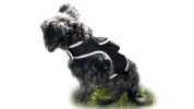 Pocket Realtime GSM GPS Location Tracking Rechargeable Pet Seek Device Size:L