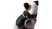 Enhanced GSM GPS Mini Pet Locator Tag Waterproof Dog/Cat Tracking Sys Size:M