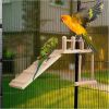 Bird Perches Platform Swing with Climbing Ladder Parakeet Cage