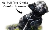 Portable Collar Electronic Pet Tracking Devices Realtime GPS Tracker Size:L