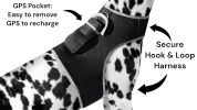 Pet Tracker Collar Rechargeable Pet Location Surveillance System w/ GPS Tracker App Size:L