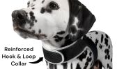 Pet Tracker Best Dog GPS Realime Portable GSM Tracking Device Rechargeable Size:L