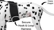 Pet Tracker GPS Dog Collars Tracking Device for Wireless Pet Surveillance Size:L
